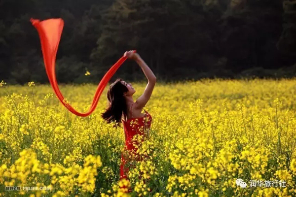 漢中：油菜花開(kāi)了